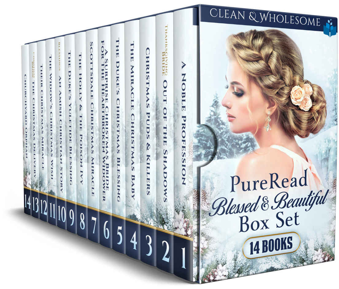 Pureread Blessed Beautiful Christmas Boxset 14 Clean Wholesome Books Terri Grace Grace Given Charity Mccoll Donna Doyle Dolly Price Misty Shae Emma Morgan Gracie Shaw