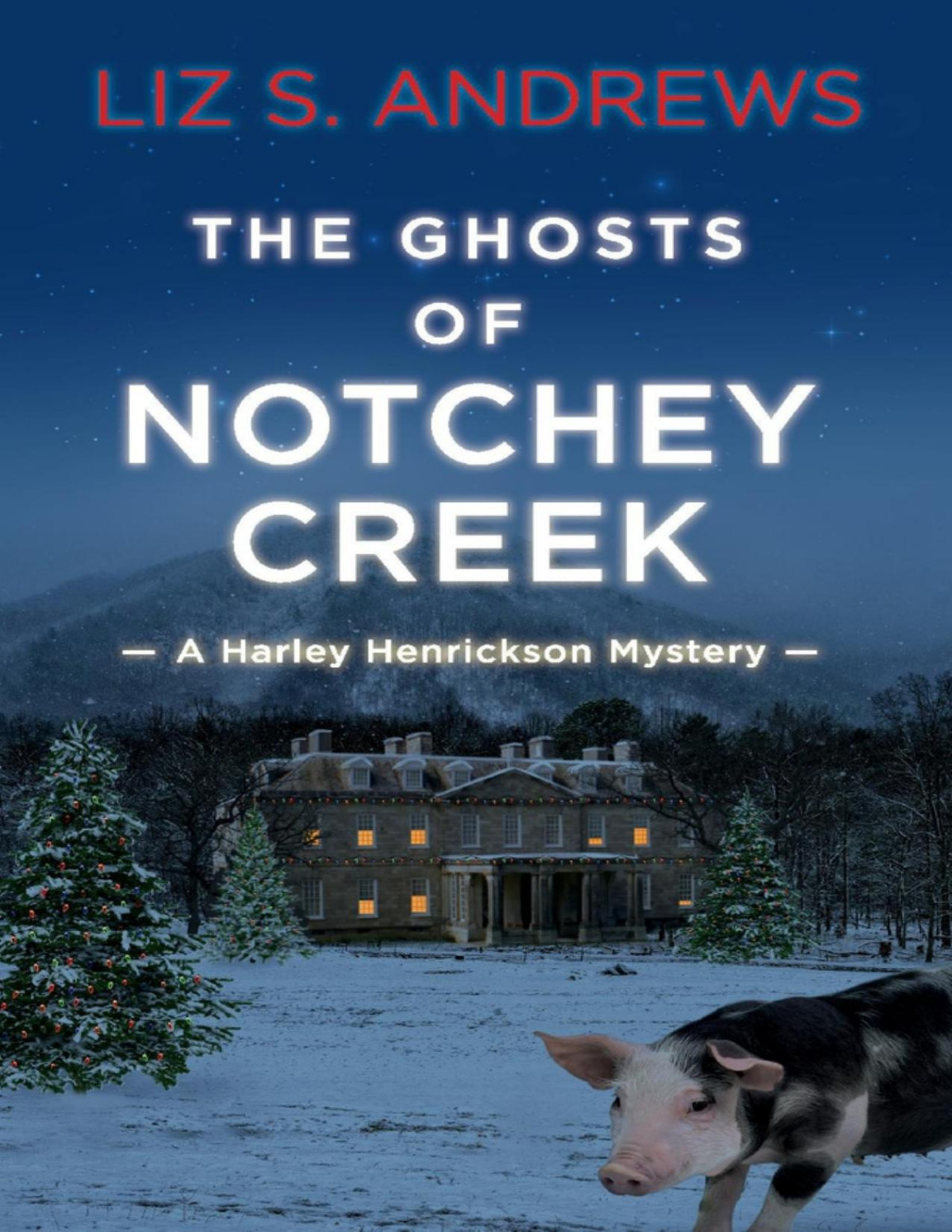 The Ghosts Of Notchey Creek Liz S Andrews Andrews Liz S