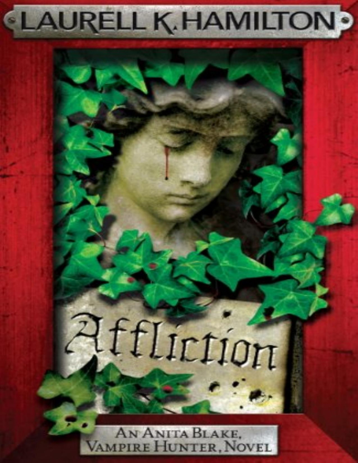 Affliction Laurell K Hamilton Hamilton Laurell K