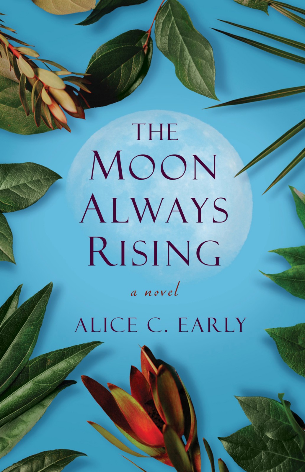 The Moon Always Rising Alice C Early Early Alice C