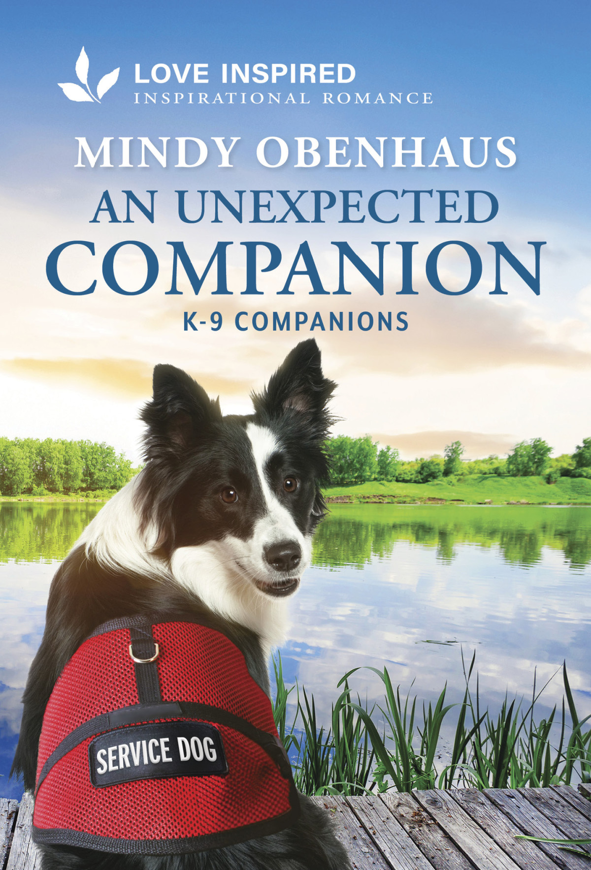 Kc31 An Unexpected Companion Mindy Obenhaus