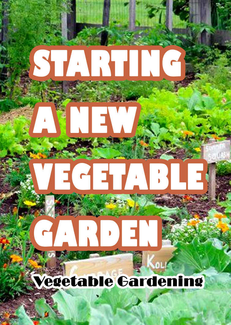 Starting A New Vegetable Garden Vegetable Gardening Demetrius Sheffey