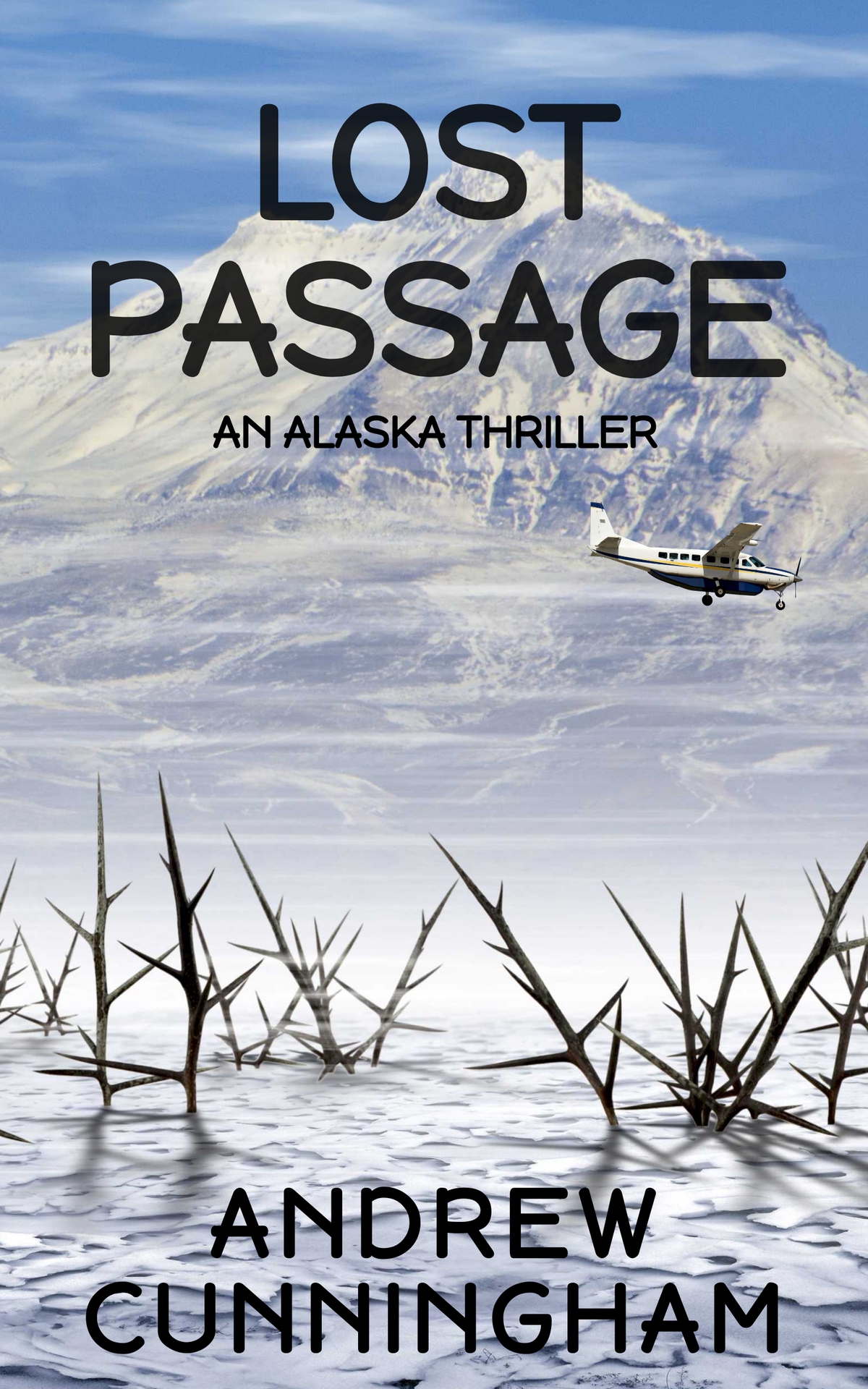 Lost Passage An Alaska Thriller Andrew Cunningham