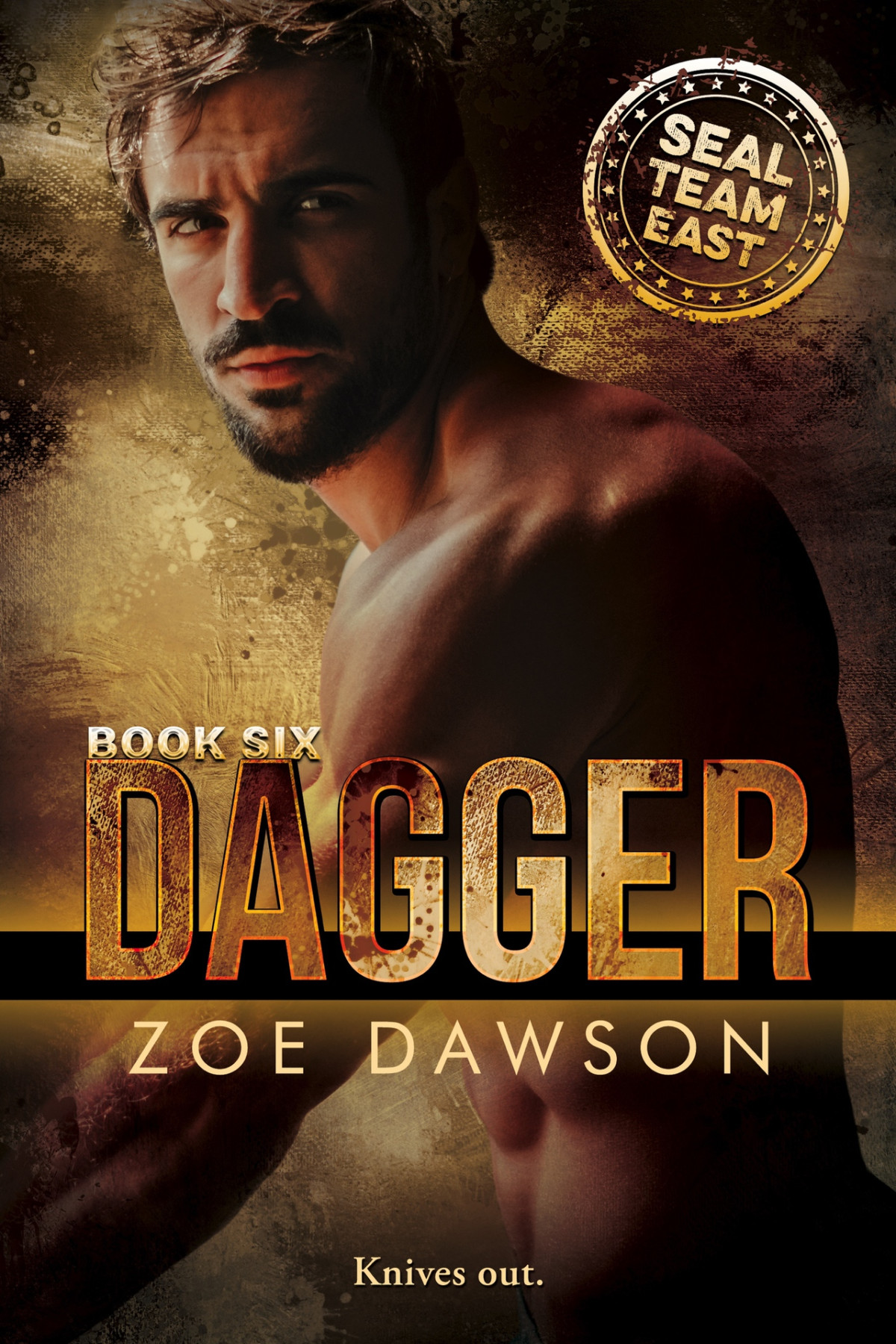 Dagger Seal Team East Book 6 Zoe Dawson