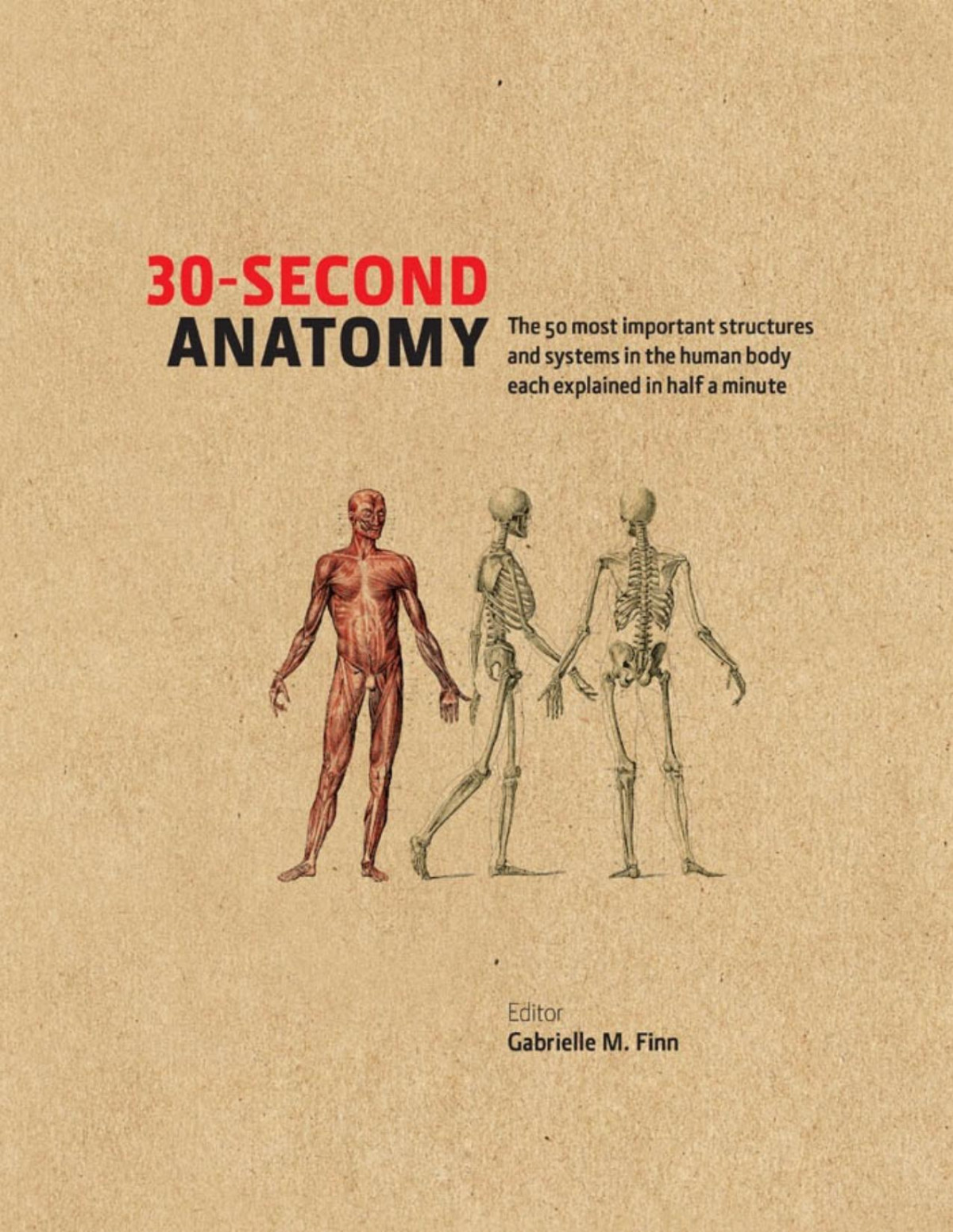 30second Anatomy Gabrielle M Finn