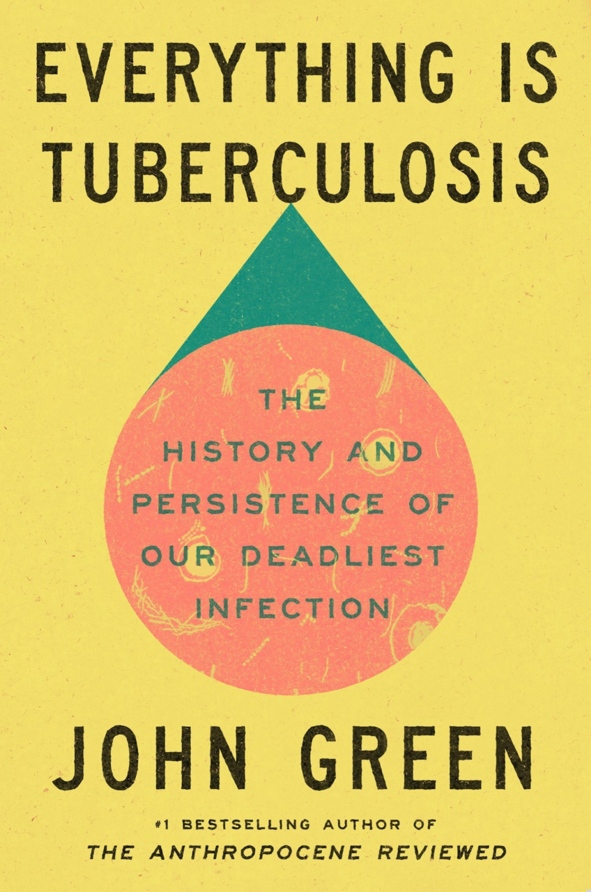 Everything Is Tuberculosis John Green