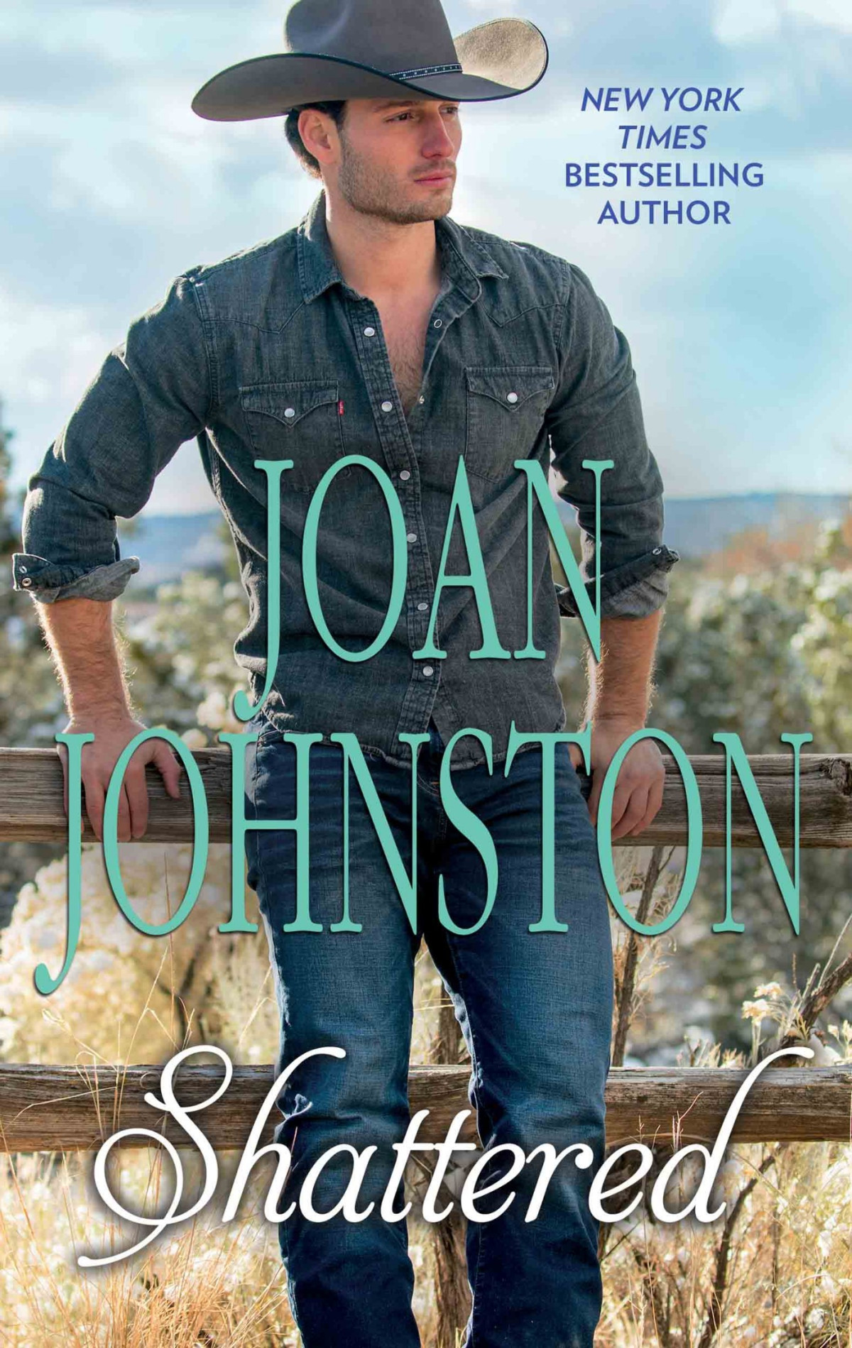 Shattered Joan Johnston