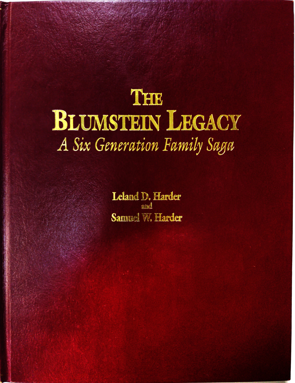 The Blumstein Legacy A Six Generation Family Saga 2nd Leland D Harder