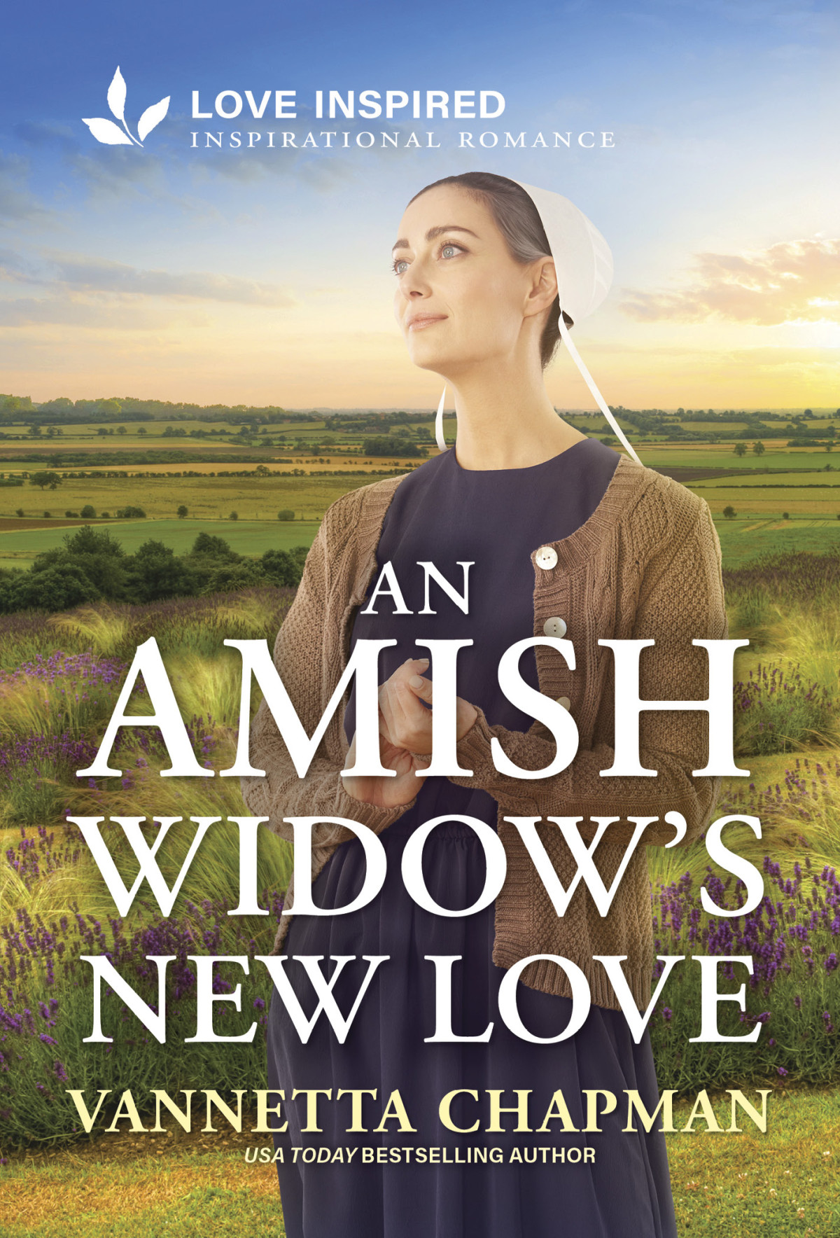 An Amish Widows New Love Vannetta Chapman