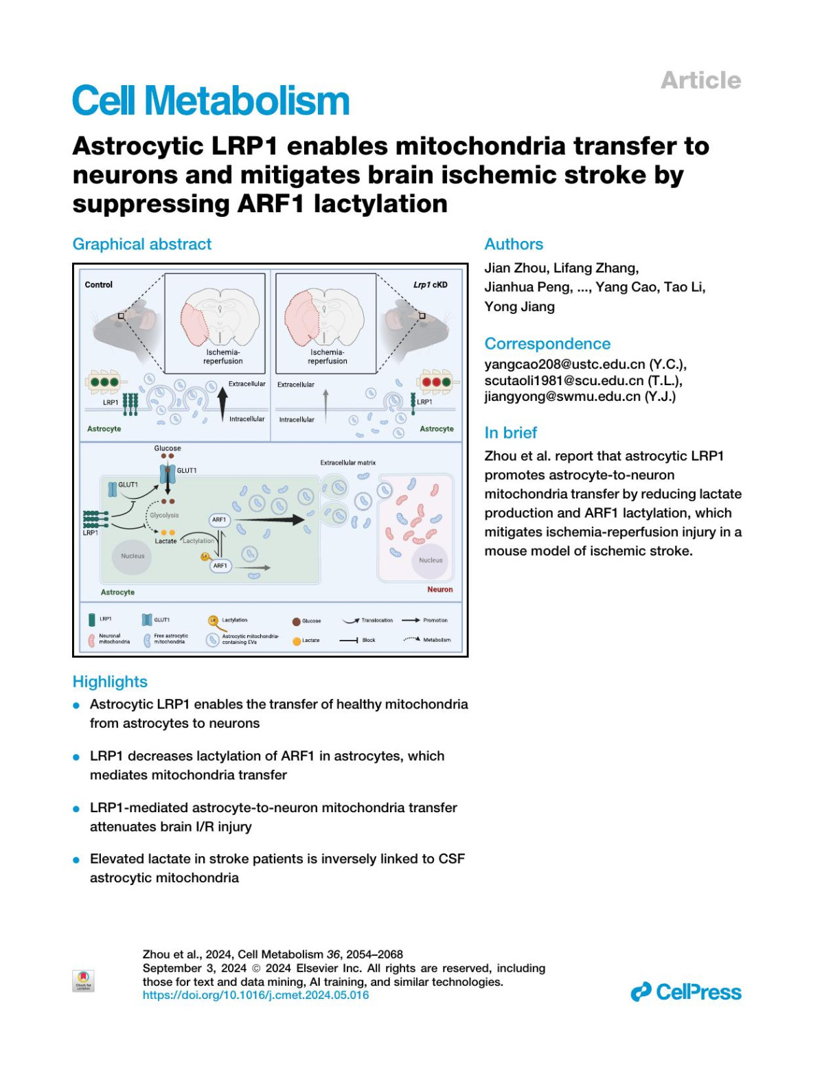 Astrocytic Lrp1 Enables Mitochondria Transfer To Neurons And Mitigates Brain Ischemic Stroke By Suppressing Arf1 Lactylation Jian Zhou