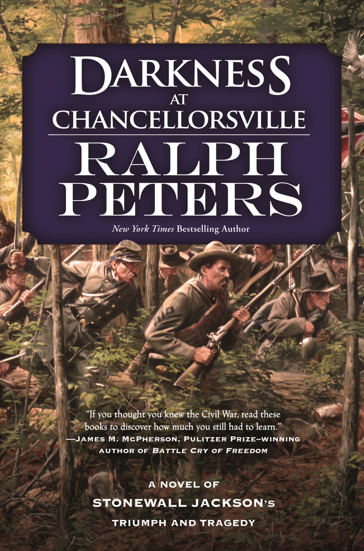 Darkness At Chancellorsville A Novel Of Stonewall Jacksons Triumph And Tragedy Ralph Peters