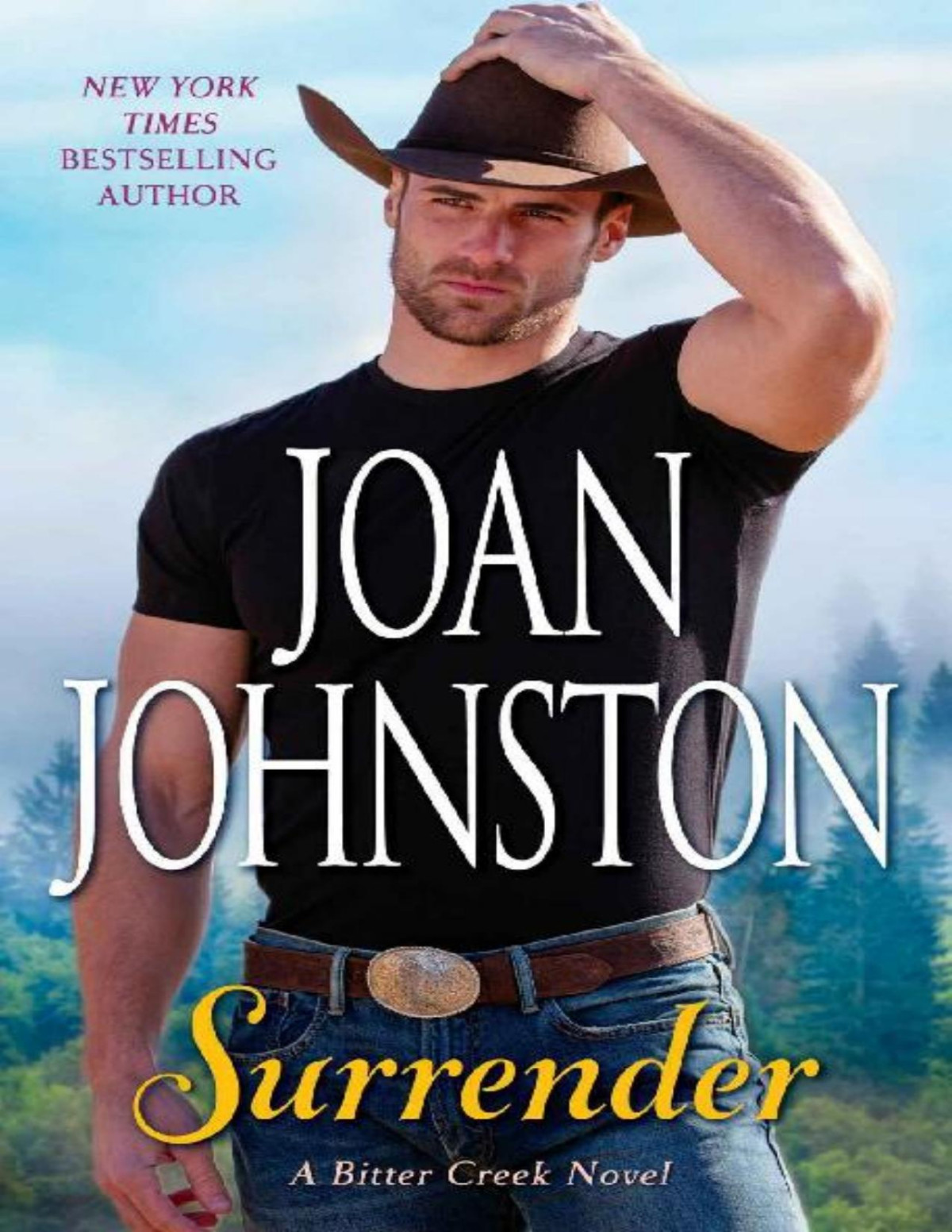 Surrender Joan Johnston