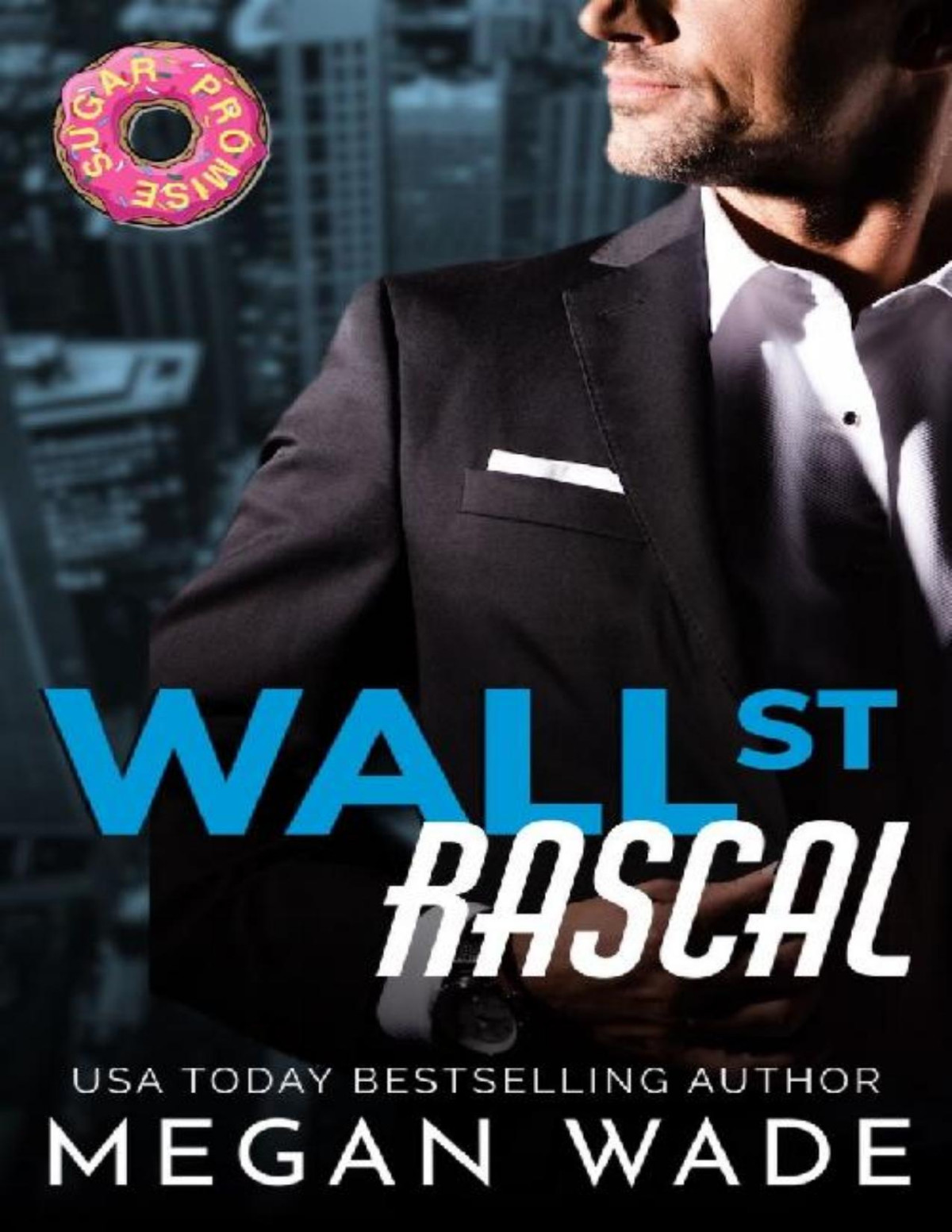Wall St Rascal A Grumpy Boss Romantic Comedy The Curves Of Wall St Book 2 Megan Wade