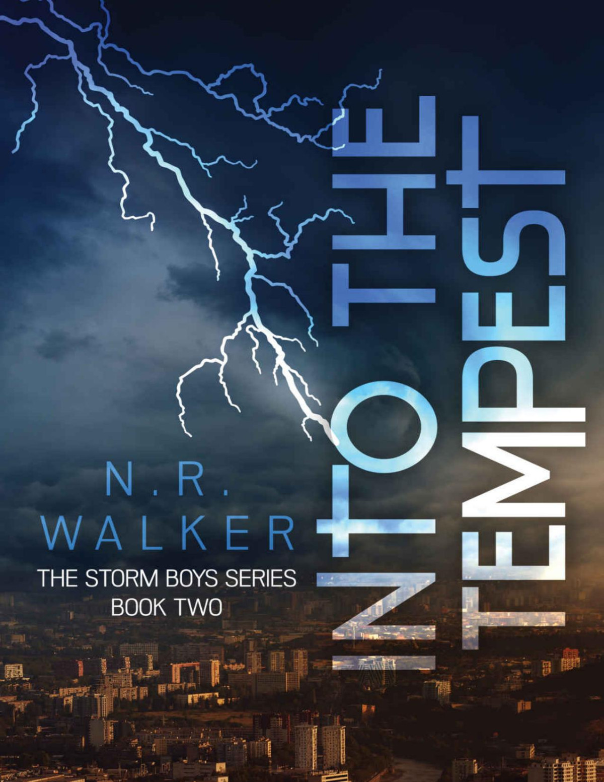 Into The Tempest The Storm Boys Series Book 2 Nr Walker