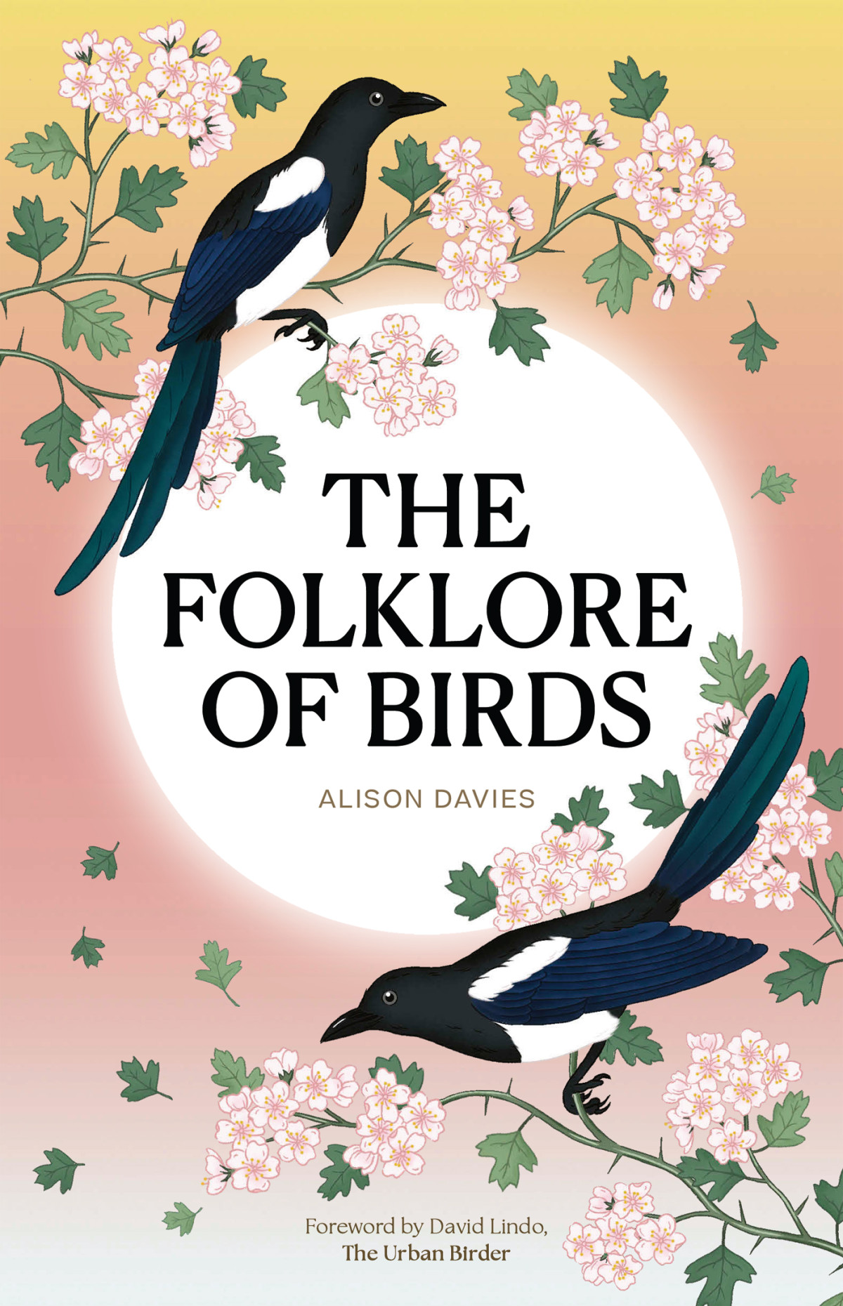 The Folklore Of Birds Alison Davies