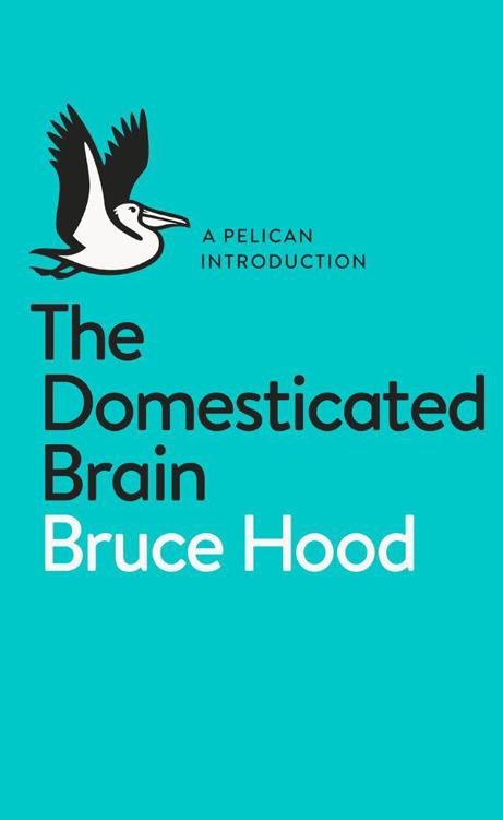 The Domesticated Brain A Pelican Introduction Pelican Books Bruce Hood