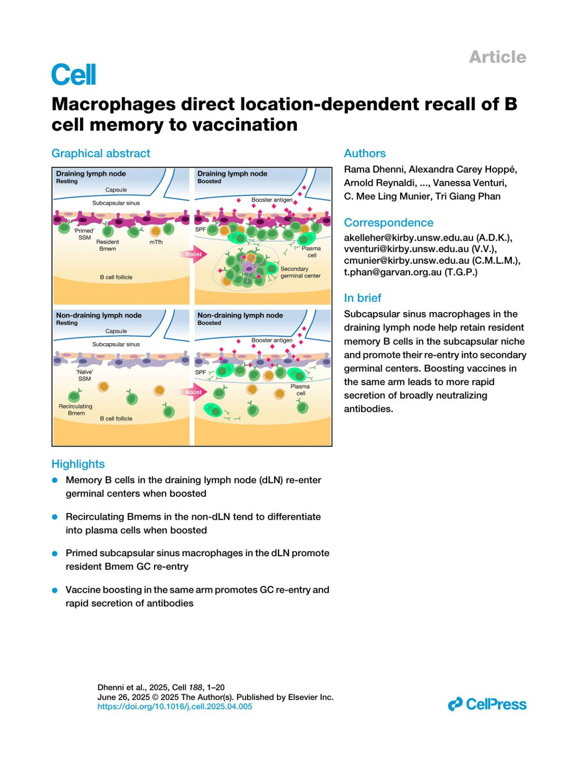 Macrophages Direct Locationdependent Recall Of B Cell Memory To Vaccination Rama Dhenni