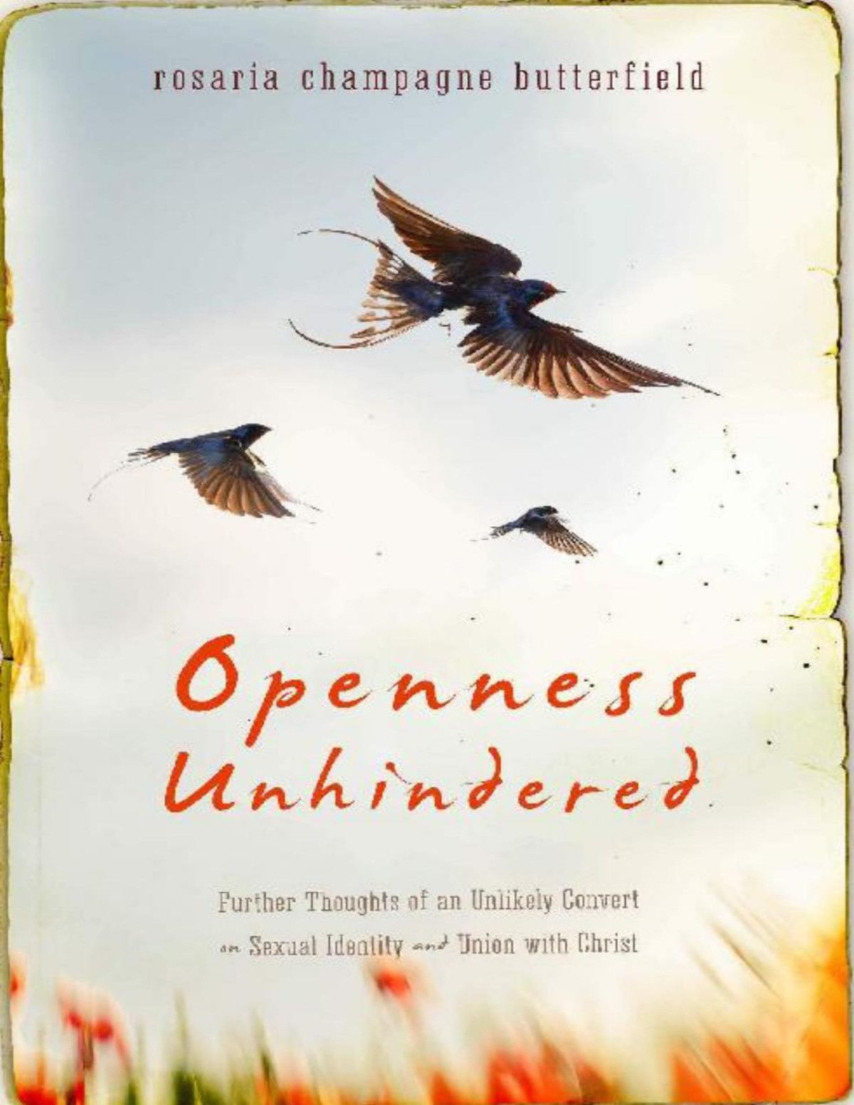 Openness Unhindered Further Thoughts Of An Unlikely Convert On Sexual Identity And Union With Christ Rosaria Champagne Butterfield