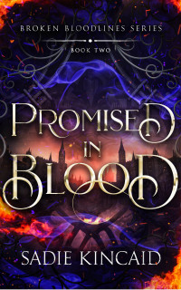 Broken Bloodlines 2 Promised In Blood Sadie Kincaid