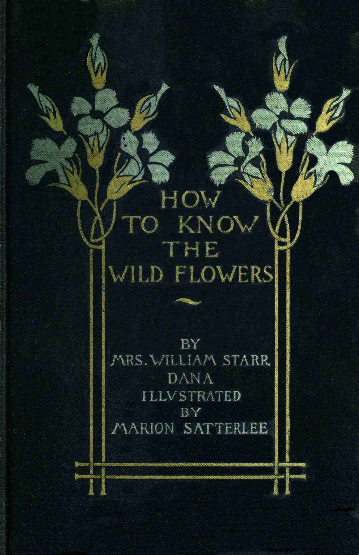 How To Know The Wild Flowers Frances Theodora Parsons