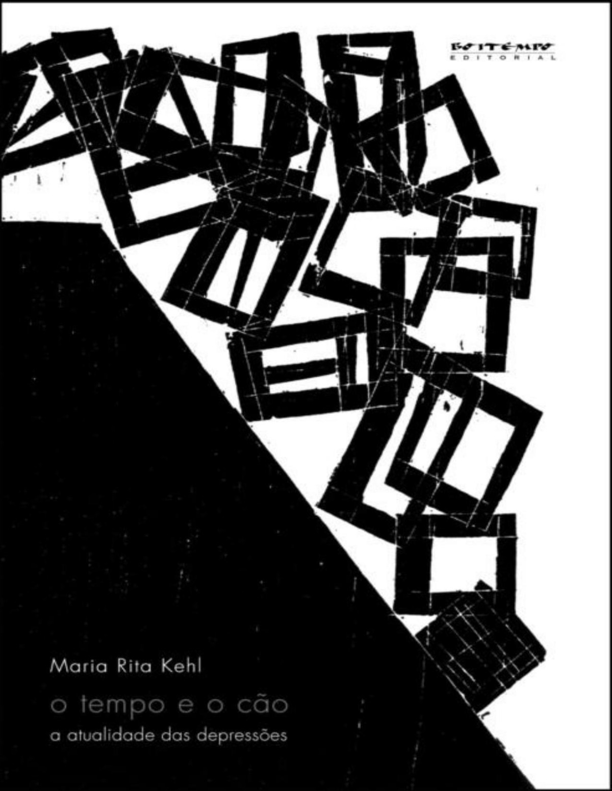 O Tempo E O Cão A Atualidade Das Depressões Maria Rita Kehl
