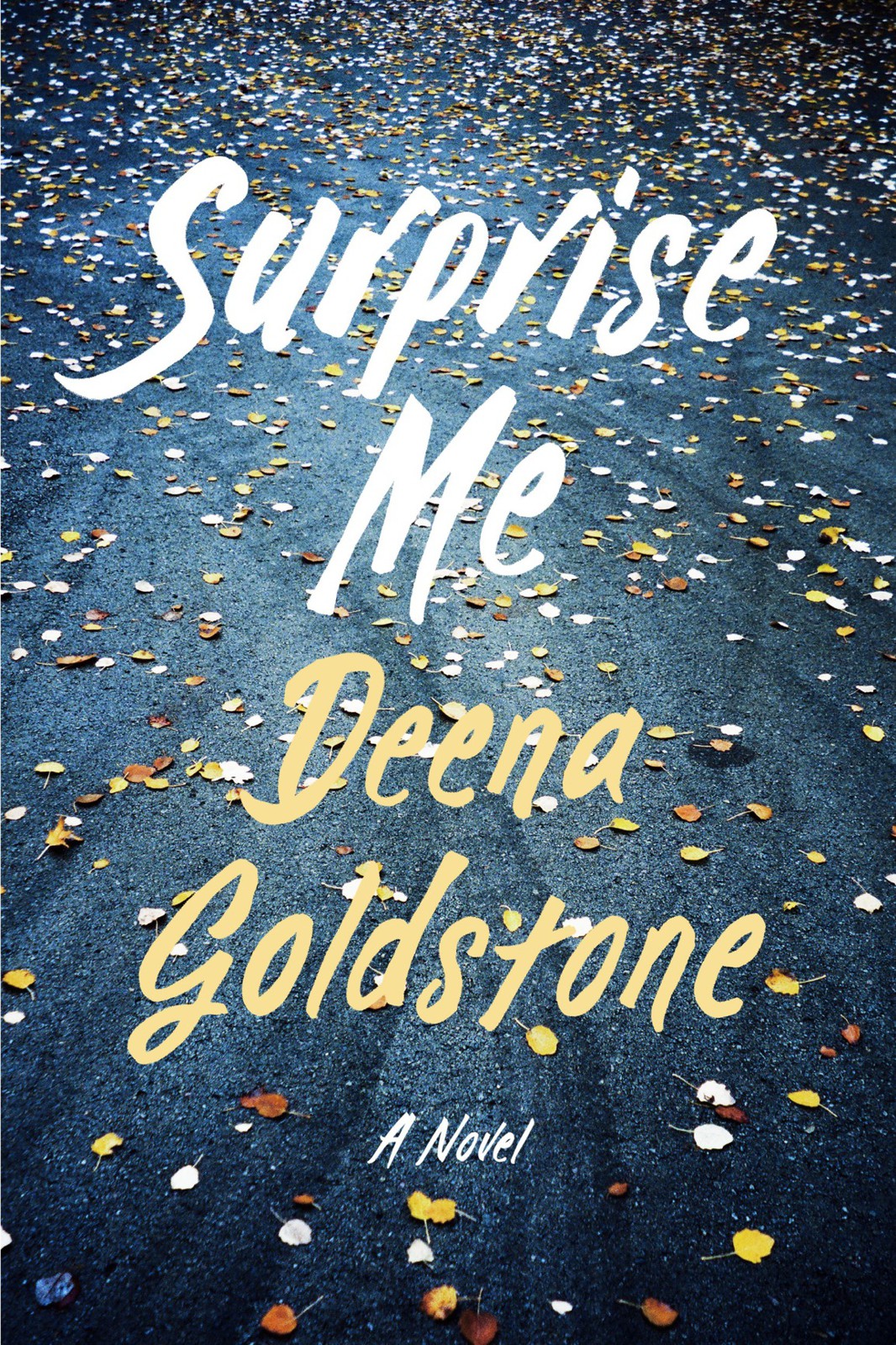 Surprise Me Deena Goldstone