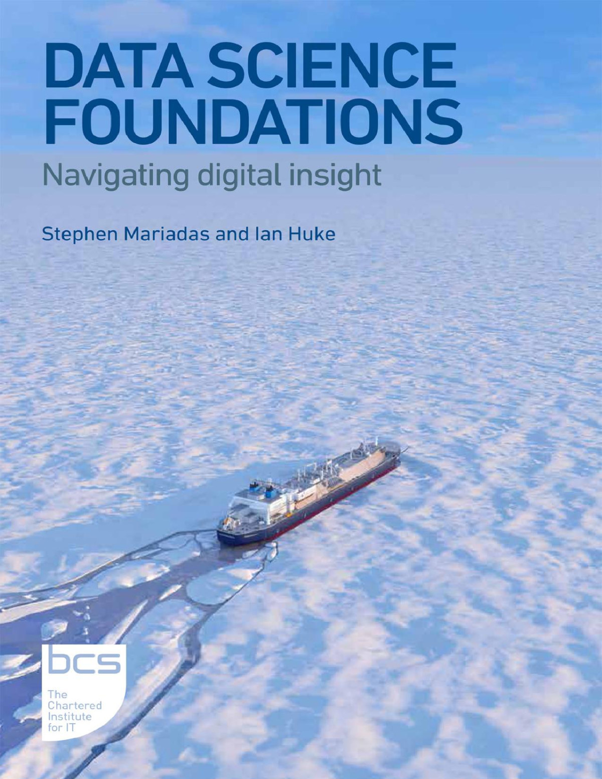 Data Science Foundations Navigating Digital Insight Stephen Mariadas