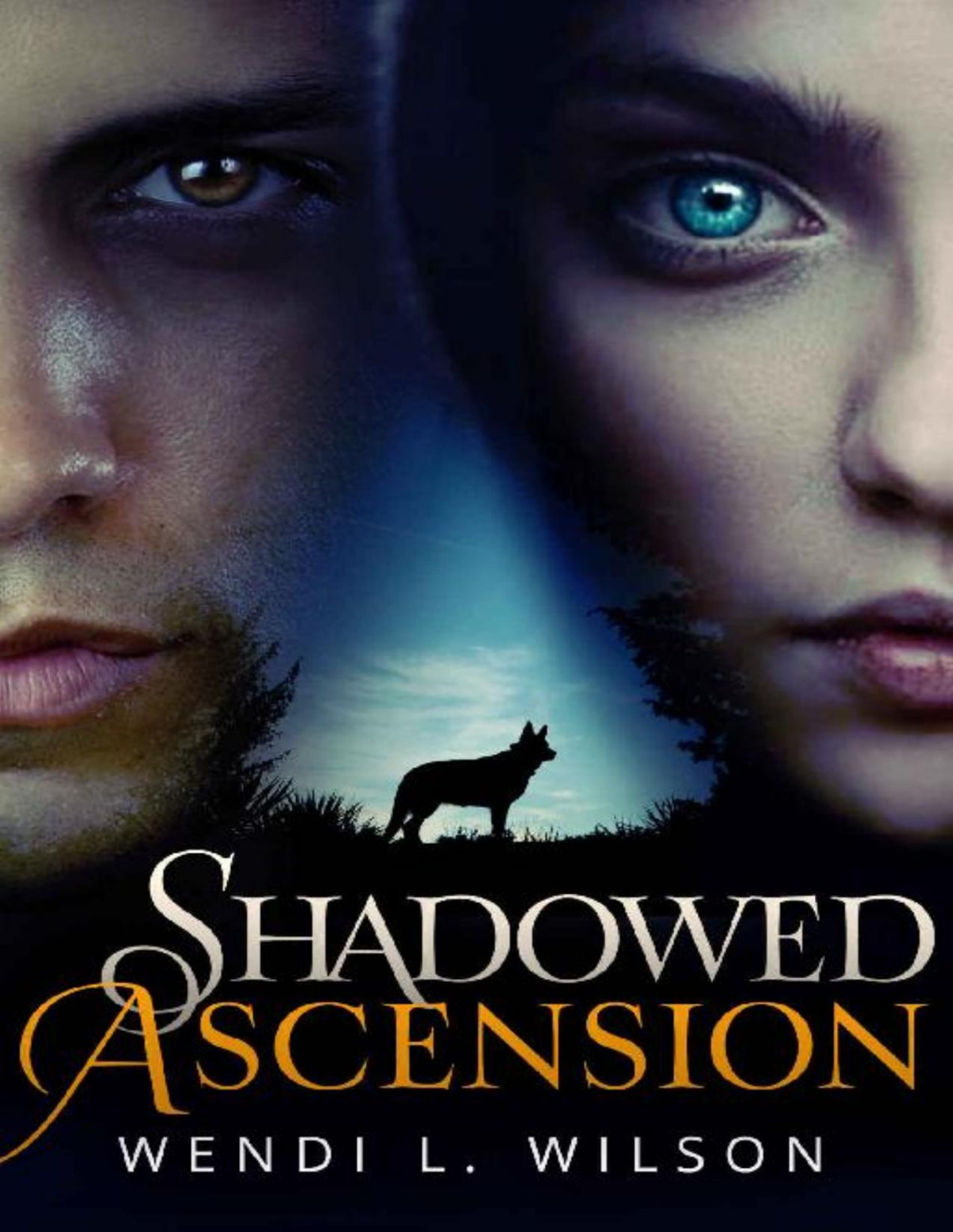 Shadowed Ascension Wendi Wilson