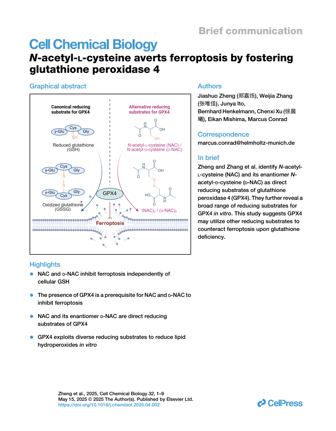 Nacetyllcysteine Averts Ferroptosis By Fostering Glutathione Peroxidase 4 Jiashuo Zheng 郑嘉烁 Weijia Zhang 张唯佳 Junya Ito Bernhard Henkelmann Chenxi Xu 徐晨曦 Eikan Mishima Marcus Conrad