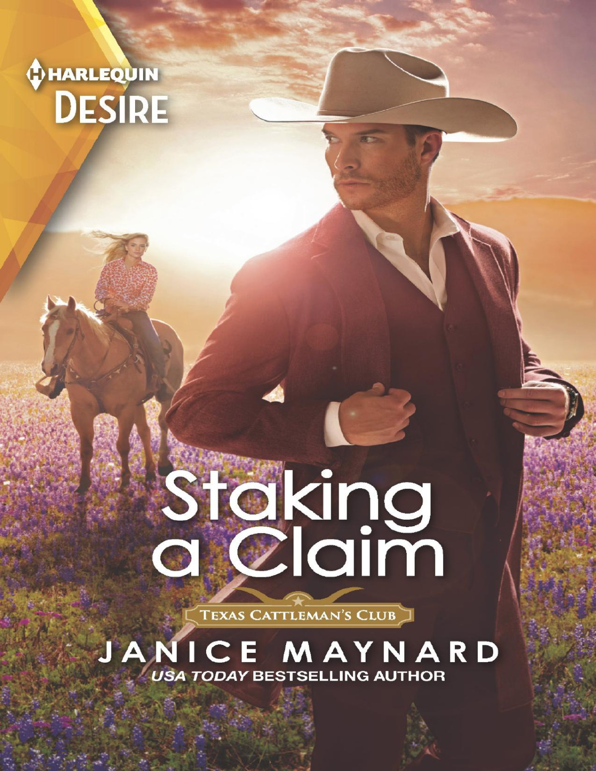 Staking A Claimthe Perfect Beach Read Janice Maynard