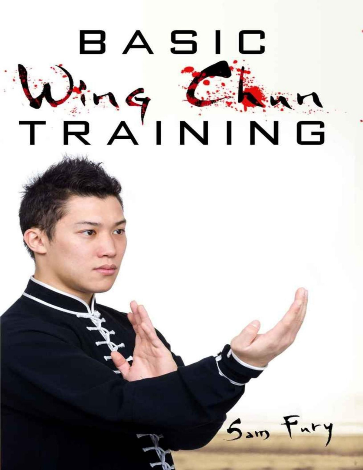 Basic Wing Chun Training Wing Chun Kung Fu Training For Street Fighting And Self Defense Pdfdrivecom Sam Fury