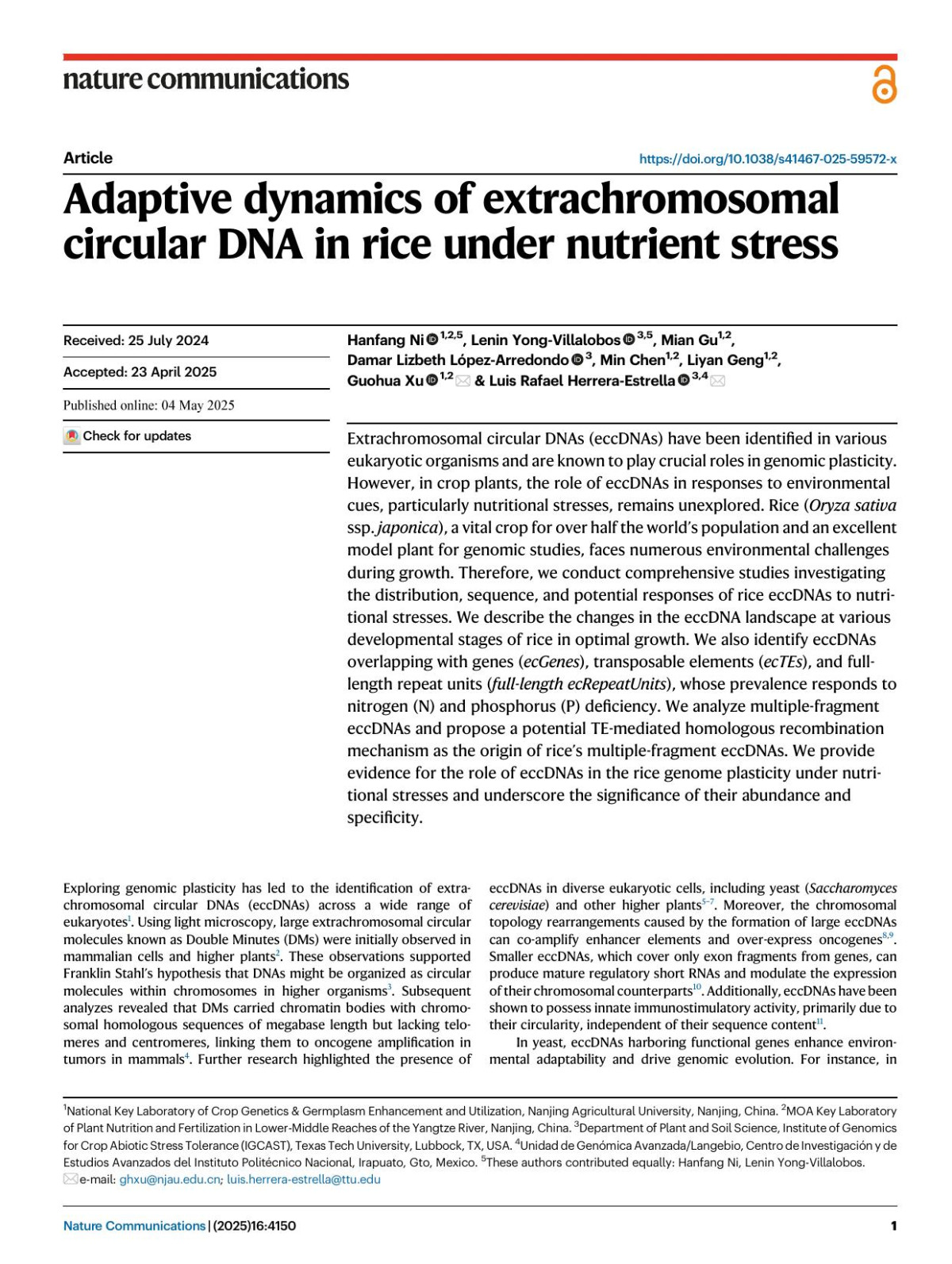 Adaptive Dynamics Of Extrachromosomal Circular Dna In Rice Under Nutrient Stress Hanfang Ni Lenin Yongvillalobos Mian Gu Damar Lizbeth Lópezarredondo Min Chen Liyan Geng Guohua Xu Luis Rafael Herreraestrella
