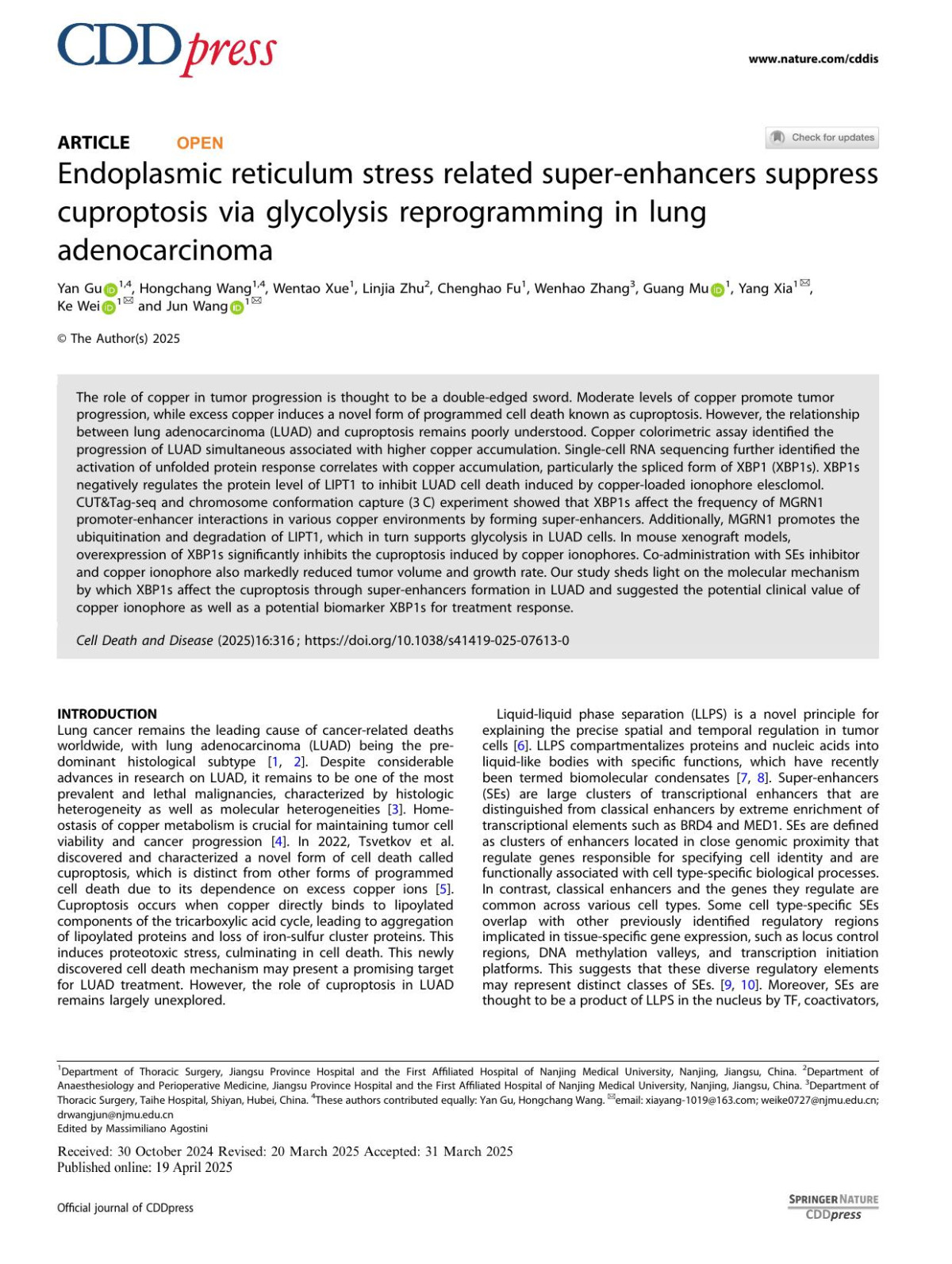 Endoplasmic Reticulum Stress Related Superenhancers Suppress Cuproptosis Via Glycolysis Reprogramming In Lung Adenocarcinoma Yan Gu Hongchang Wang Wentao Xue Linjia Zhu Chenghao Fu Wenhao Zhang Guang Mu Yang Xia Ke Wei Jun Wang