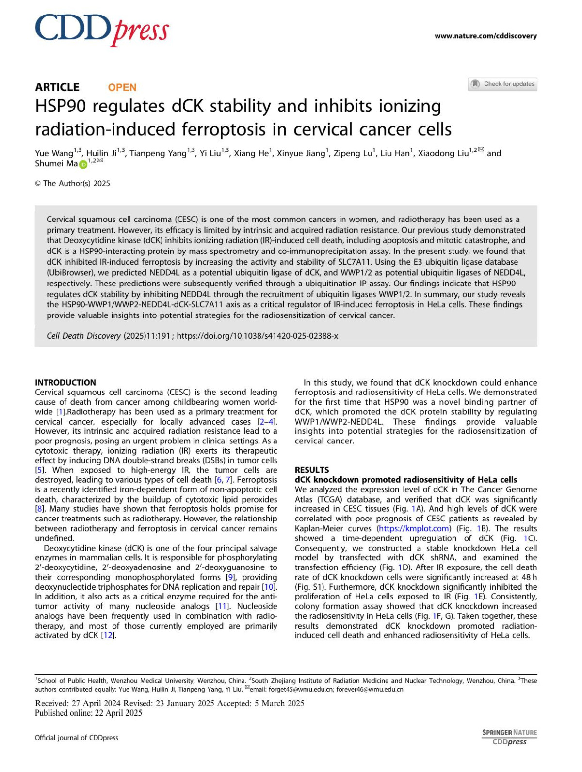 Hsp90 Regulates Dck Stability And Inhibits Ionizing Radiationinduced Ferroptosis In Cervical Cancer Cells Yue Wang Huilin Ji Tianpeng Yang Yi Liu Xiang He Xinyue Jiang Zipeng Lu Liu Han Xiaodong Liu Shumei Ma