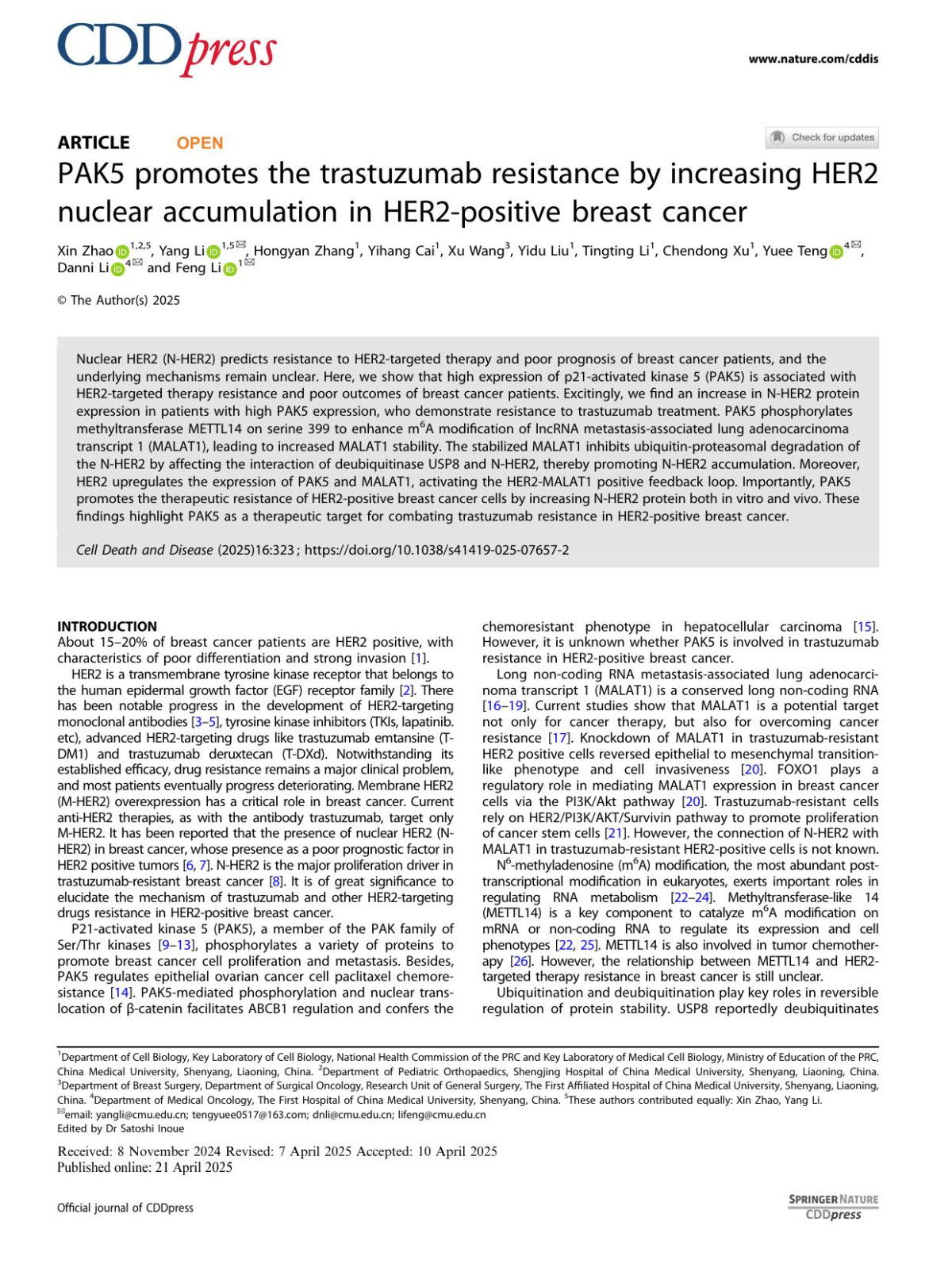 Pak5 Promotes The Trastuzumab Resistance By Increasing Her2 Nuclear Accumulation In Her2positive Breast Cancer Xin Zhao Yang Li Hongyan Zhang Yihang Cai Xu Wang Yidu Liu Tingting Li Chendong Xu Yuee Teng Danni Li Feng Li