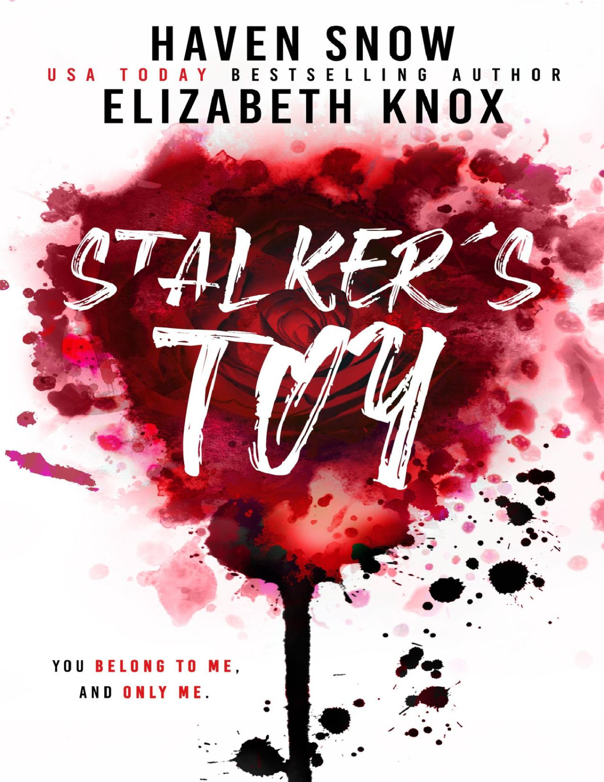 Stalkers Toy Elizabeth Knox Haven Snow