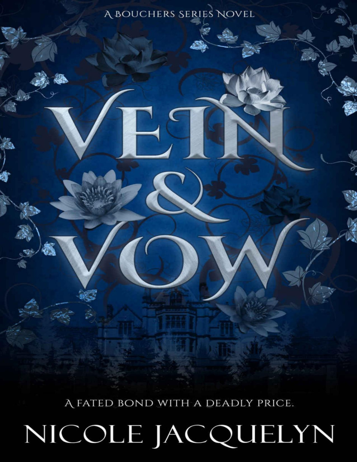 Vein Vow An Enemies To Lovers Vampire Romance The Bouchers Book 1 Nicole Jacquelyn