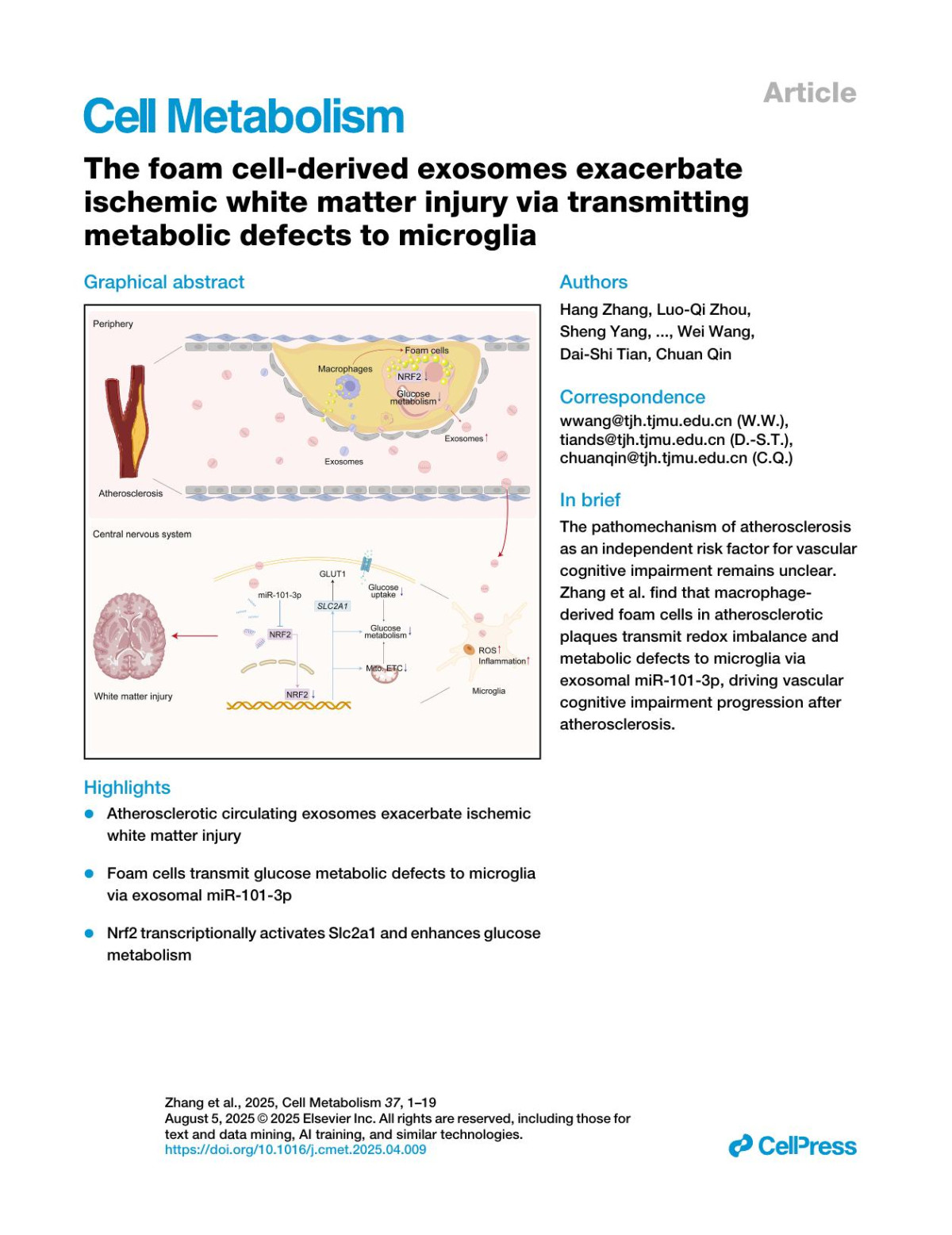 The Foam Cellderived Exosomes Exacerbate Ischemic White Matter Injury Via Transmitting Metabolic Defects To Microglia Hang Zhang Luoqi Zhou Sheng Yang Minghao Dong Lian Chen Yilin Lu Luyang Zhang Lan Zhang Yunhui Chu Lulu Xu Xiaowei Pang Lifang Zhu Ting Xu Tuying Yong Wei Wang Daishi Tian Chuan Qin