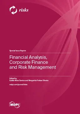 Financial Analysis Corporate Finance And Risk Management Eulália Mota Santos
