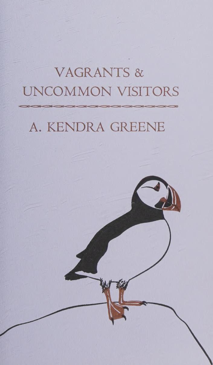 Vagrants Uncommon Visitors Iceland Museums Trilogy Anomalous Press Chapbook 21 A Kendra Greene