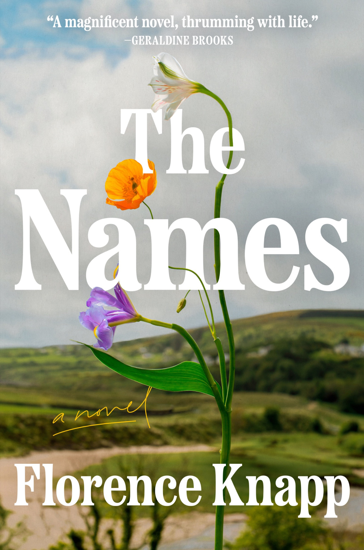 The Names A Novel Florence Knapp