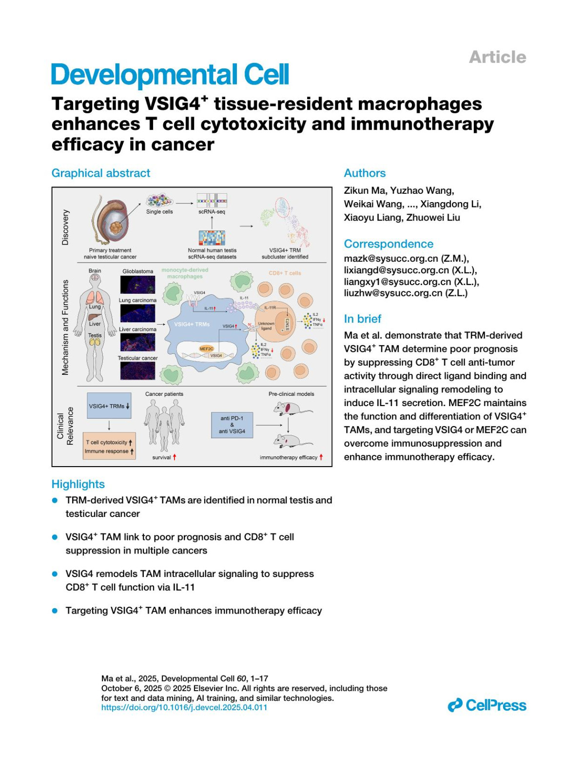Targeting Vsig4 Tissueresident Macrophages Enhances T Cell Cytotoxicity And Immunotherapy Efficacy In Cancer Zikun Ma