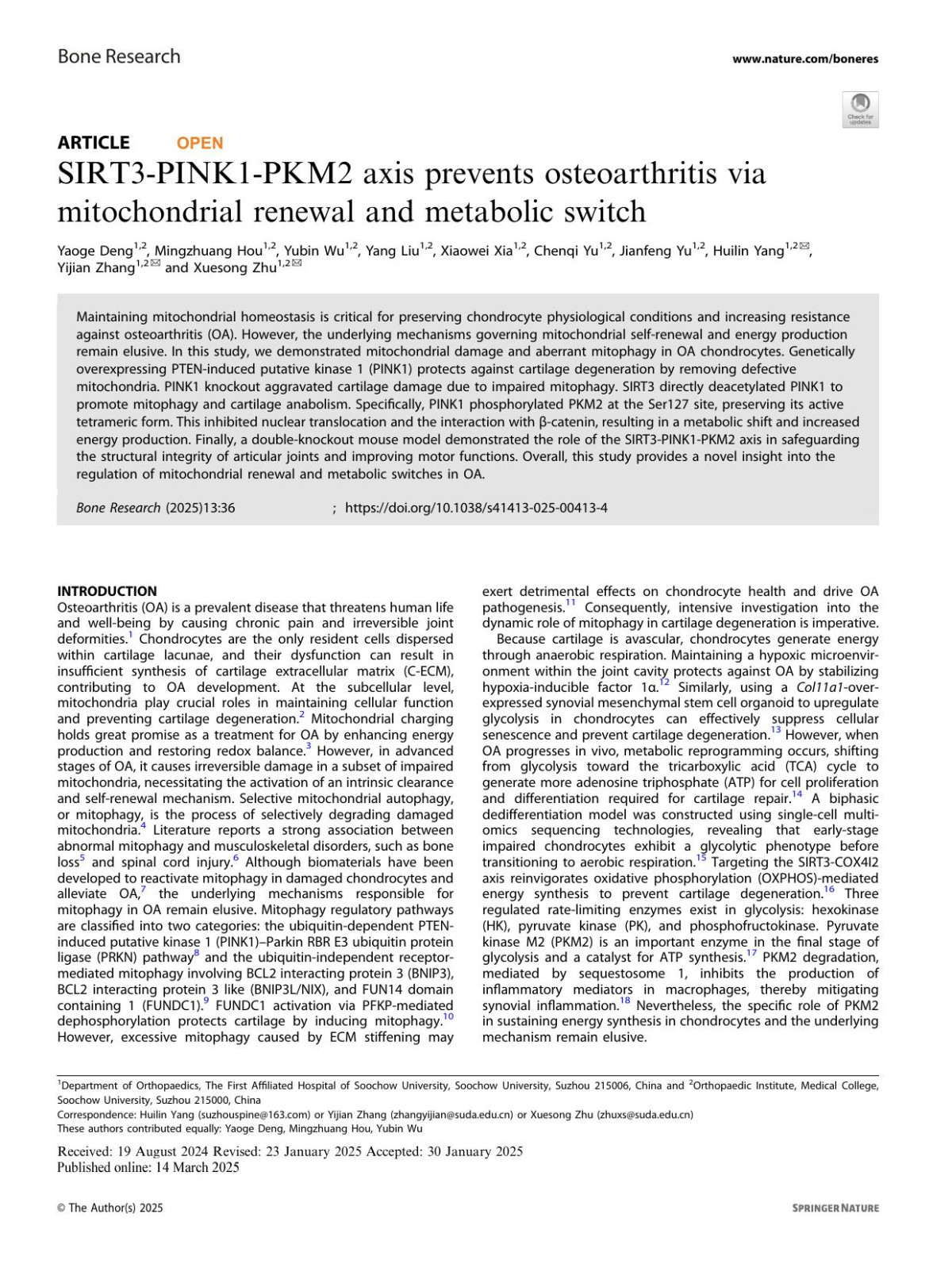 Sirt3pink1pkm2 Axis Prevents Osteoarthritis Via Mitochondrial Renewal And Metabolic Switch Yaoge Deng Mingzhuang Hou Yubin Wu Yang Liu Xiaowei Xia Chenqi Yu Jianfeng Yu Huilin Yang Yijian Zhang Xuesong Zhu