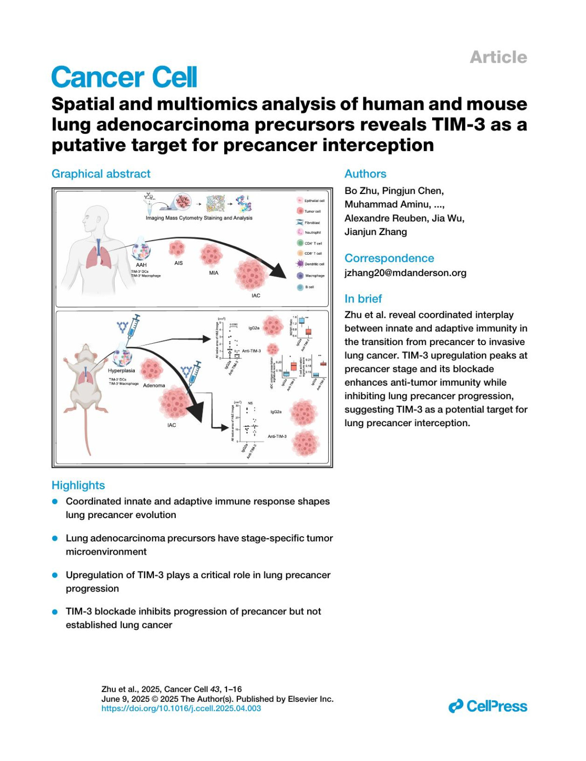 Spatial And Multiomics Analysis Of Human And Mouse Lung Adenocarcinoma Precursors Reveals Tim3 As A Putative Target For Precancer Interception Bo Zhu