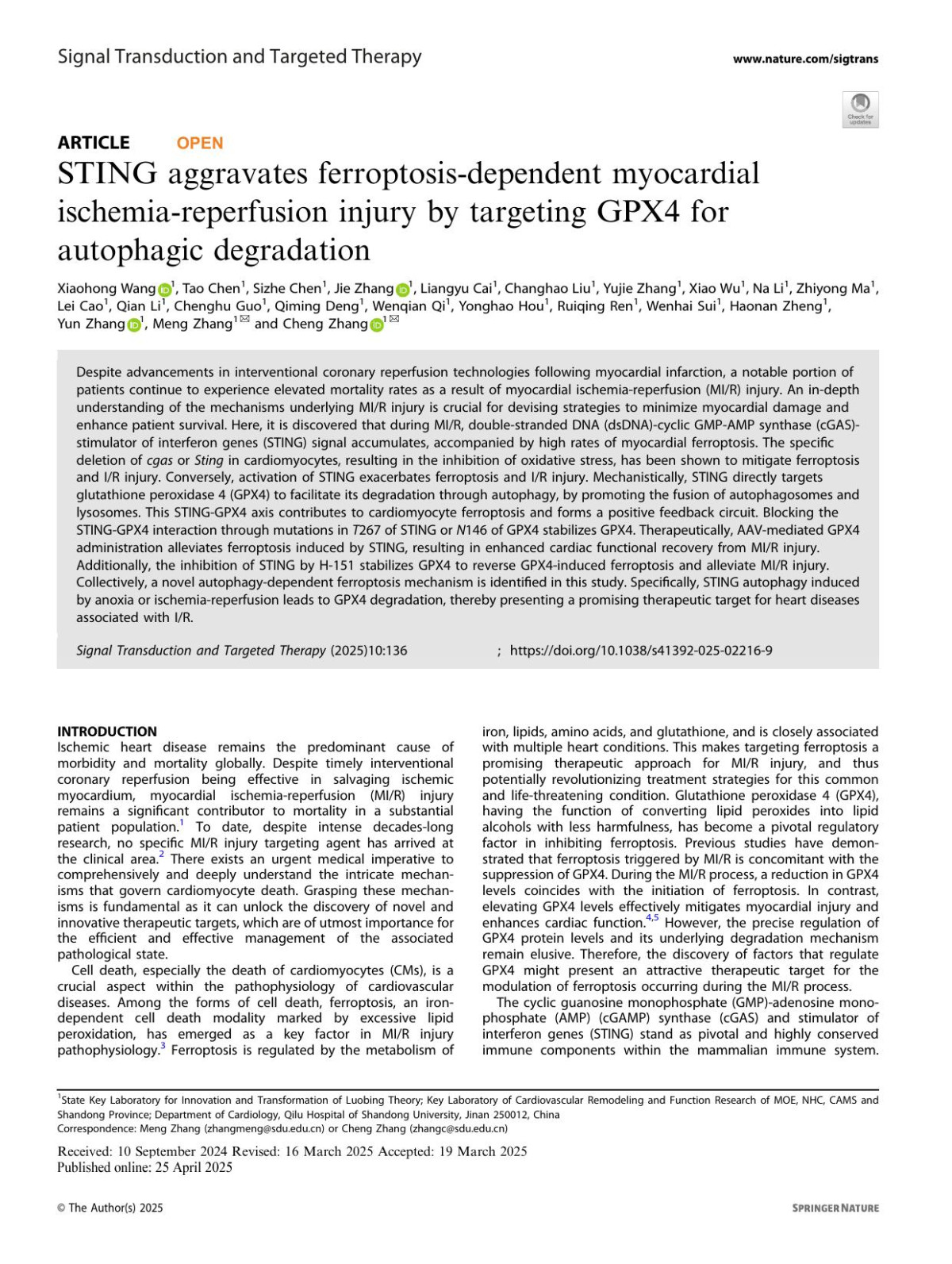 Sting Aggravates Ferroptosisdependent Myocardial Ischemiareperfusion Injury By Targeting Gpx4 For Autophagic Degradation Xiaohong Wang 1