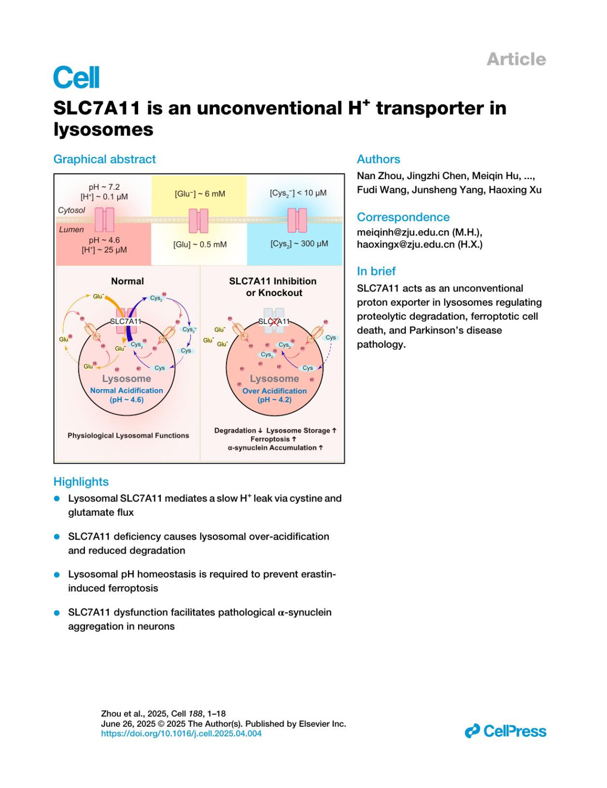 Slc7a11 Is An Unconventional H Transporter In Lysosomes Nan Zhou