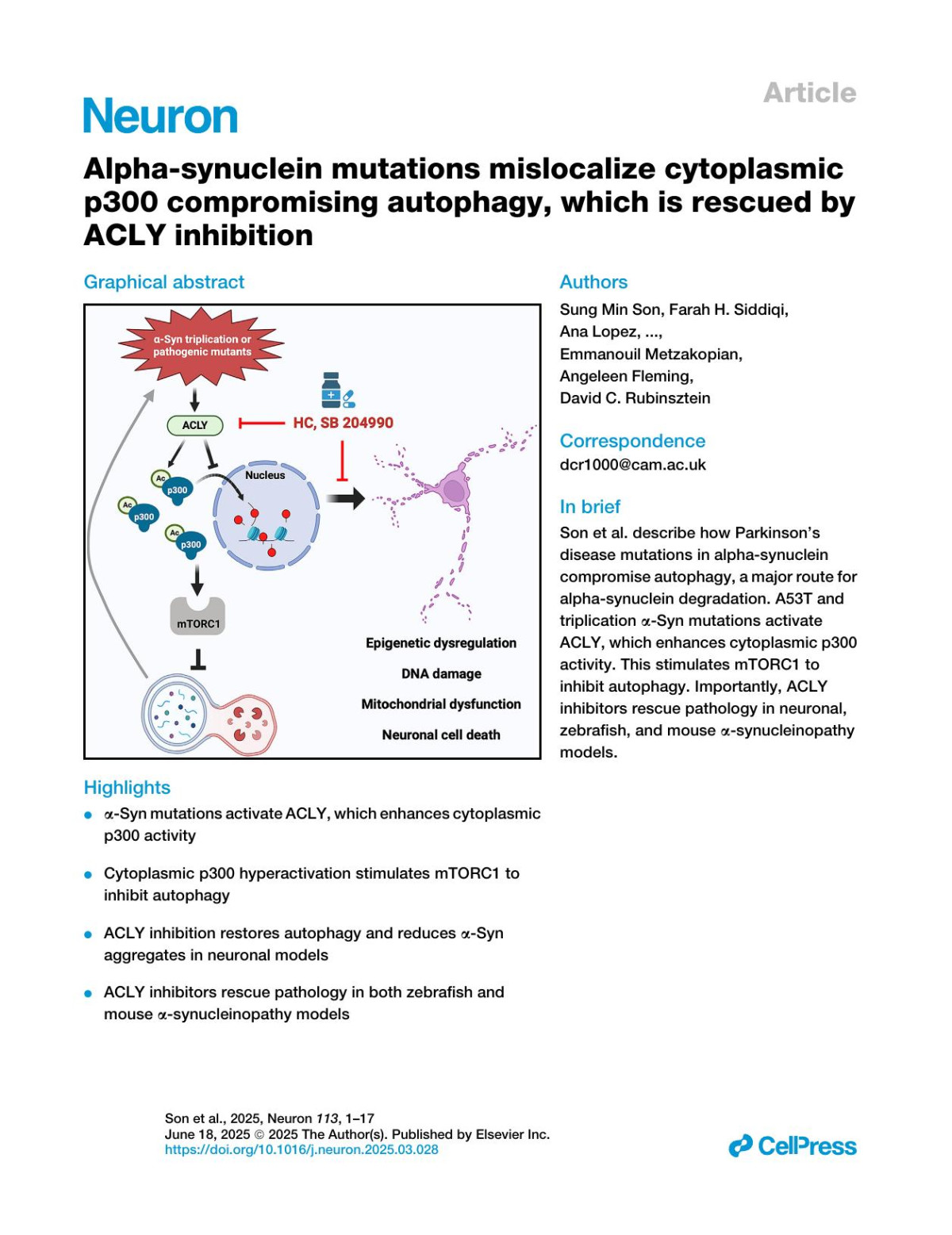 Alphasynuclein Mutations Mislocalize Cytoplasmic P300 Compromising Autophagy Which Is Rescued By Acly Inhibition Sung Min Son Farah H Siddiqi Ana Lopez Rizwan Ansari Sylwia D Tyrkalska So Jung Park Tilo Kunath Emmanouil Metzakopian Angeleen Fleming David C Rubinsztein