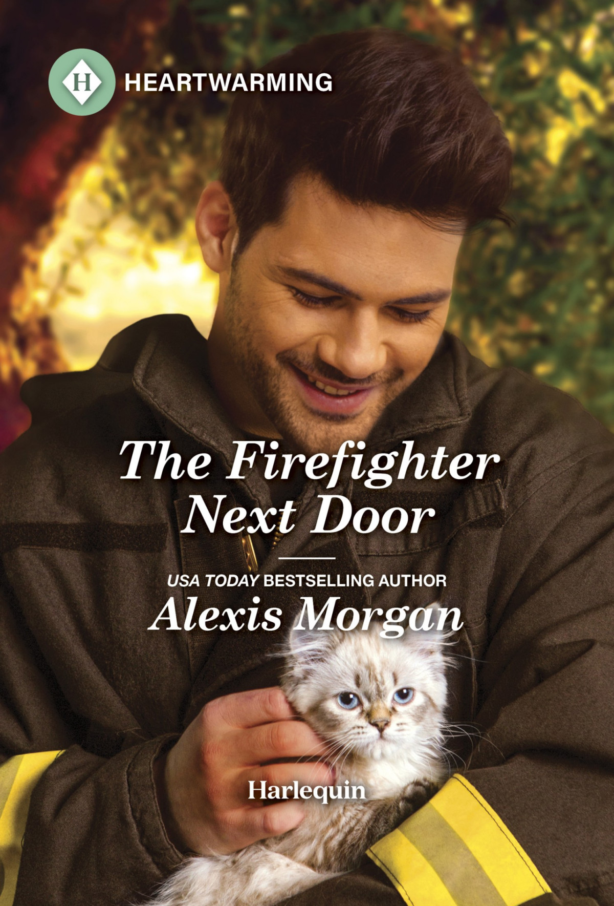 Dm05 The Firefighter Next Door Alexis Morgan