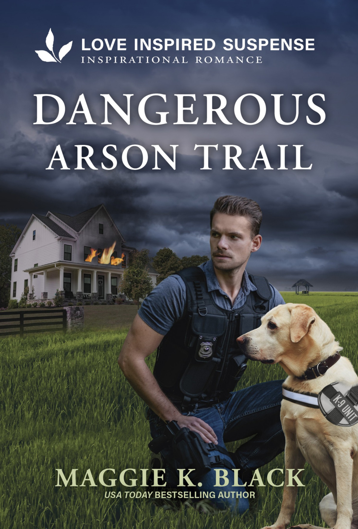 Uc03 Dangerous Arson Trail Maggie K Black