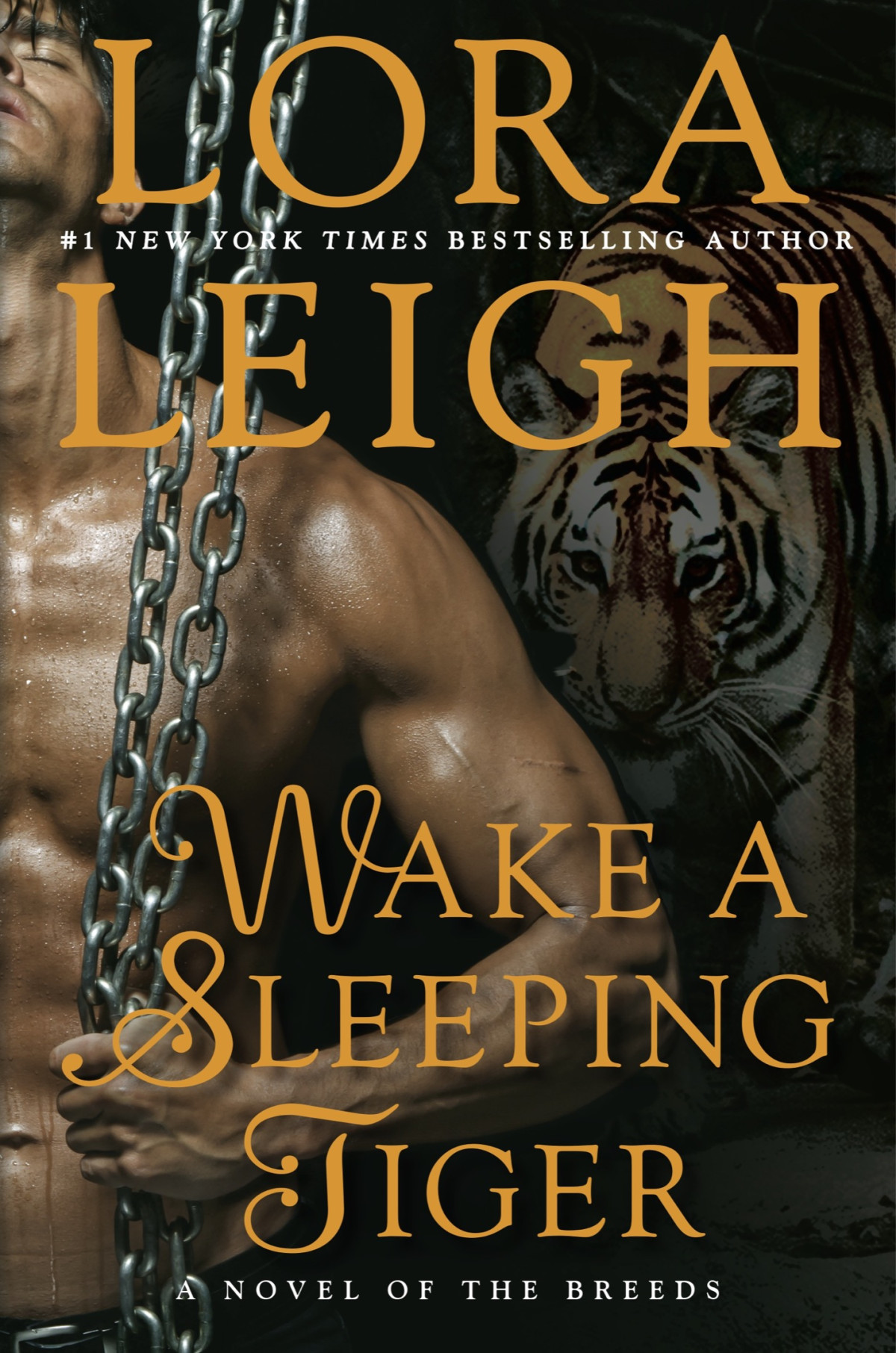 Wake A Sleeping Tiger 5th Edition Lora Leigh